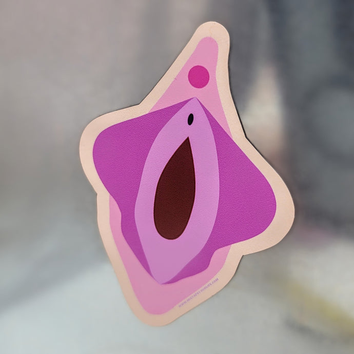 Abstract Vulva Illustration Magnet